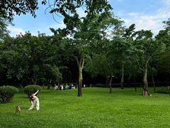 -晓港公园