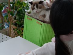 -小时光咖啡馆(北锣鼓巷店)