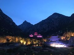 -禅宗少林·音乐大典