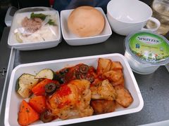 -新加坡航空公司(ION)