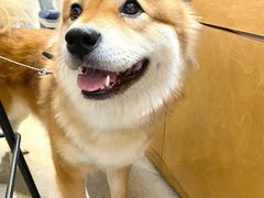 -CENCHI 汵奇咖啡(东四店)