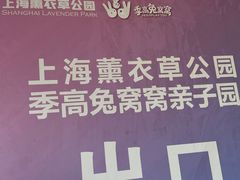 -季高兔窝窝亲子园(上海薰衣草公园店)