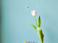 -一坐一忘云南菜(三里屯店)