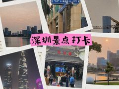 -深圳湾木棉花酒店