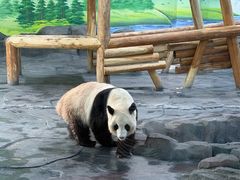 -秦皇岛野生动物园