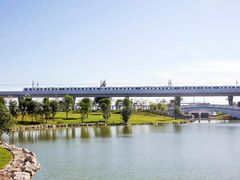 -宝安西湾红树林湿地公园