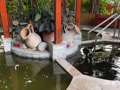 -碧水湾温泉