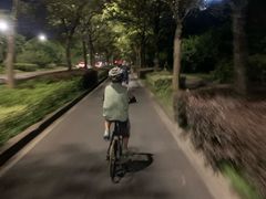 -新江湾城公园