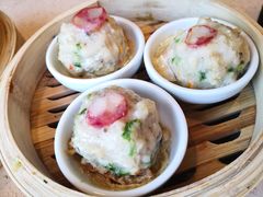 七彩鱼鲮鱼-点都德(汇盈广场店)