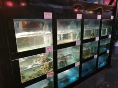 水产区-院8里·少城记忆老川菜(宽窄巷子店)