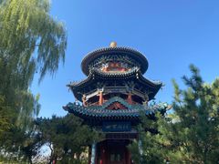 -迎泽公园