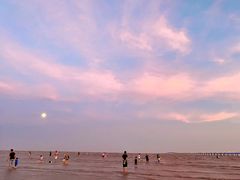 -南汇嘴观海公园