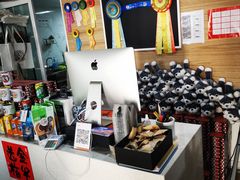 -Husky Go! 哈士奇体验馆·宠物咖啡厅狗咖