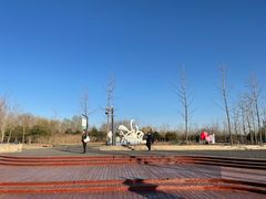 -东郊湿地公园