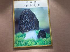 -菌之家·专业纯野生菌火锅·特色炒菌
