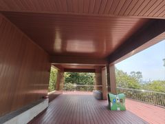 -野狸岛
