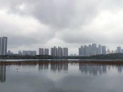 -月湖风景区