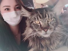 -瞄一喵猫咖(格力海岸店)