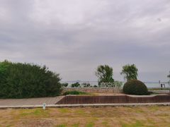 -西京湾花海