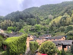 -杨家堂村