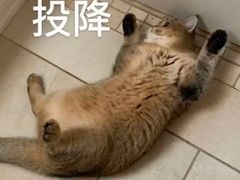 -乡亲鹅肉城(吴江店)