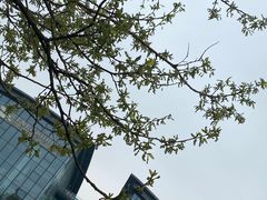 -上海吴淞炮台湾国家湿地公园
