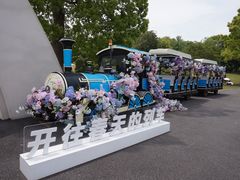 -上海鲜花港