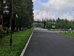 -黄海国家森林公园