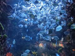 -海合安青岛极地海洋公园