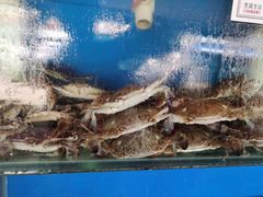 -海帮主·蒸汽海鲜青岛菜(栈桥火车站店)