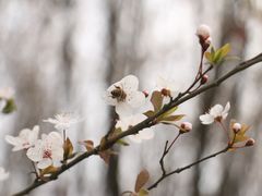 -白鹭湾湿地公园