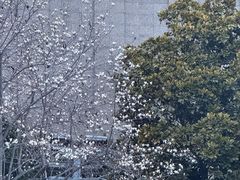 -青岛海滨风景区