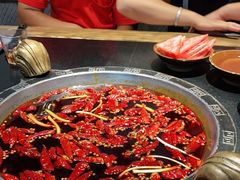 -渝大狮毛肚老火锅(普陀店)