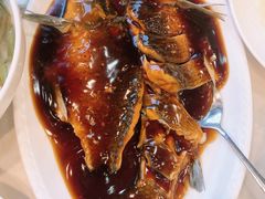 -楼外楼(西湖景区孤山路店)