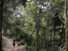 -青龙山国家森林公园
