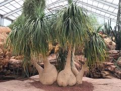 -南通洲际绿博园