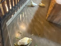 -昆明大悦城未来动物城(螺蛳湾中心店)