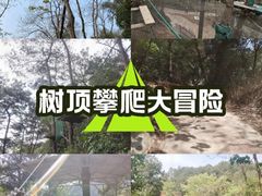 -芦仙山景区-飞越丛林探险乐园