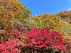 -关门山森林公园