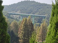 -棒棰岛宾馆景区