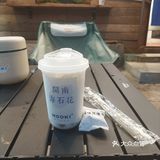 清清凉凉海石花