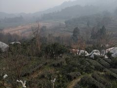 -樱桃山旅游景区