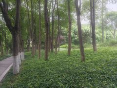 -美兰湖景区