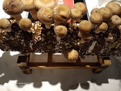 -大喜牛鲜牛肉火锅(世纪金源店)
