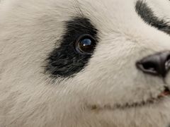 -金逸影城(大悦城IMAX激光店)