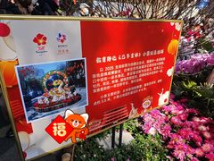 -越秀西湖花市(广州城市广场花卉店)