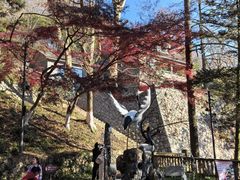 -莫干山风景区