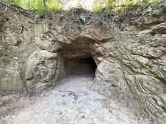 -上海佘山国家森林公园天马山园