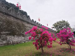 -肇庆古城墙