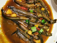 跳跳鱼-健眺小海鲜(临海后山店)